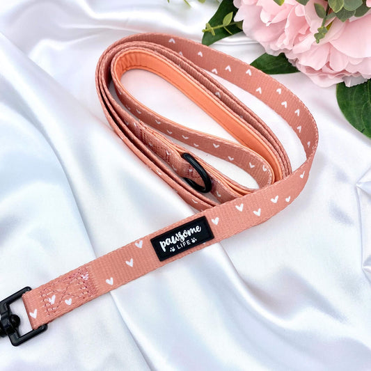 Cinnamon Hearts Dog Lead