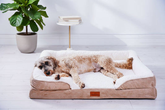 Violet Quinn Belgravia Orthopaedic Dog Sofa™ - Large