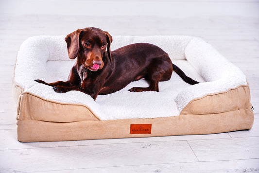 Violet Quinn | Snug n Woof Washable Luxury Dog Sofa Bed – Medium